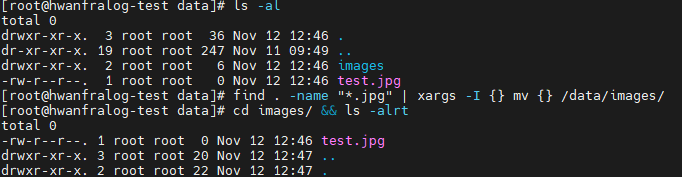 find, xargs mv screen