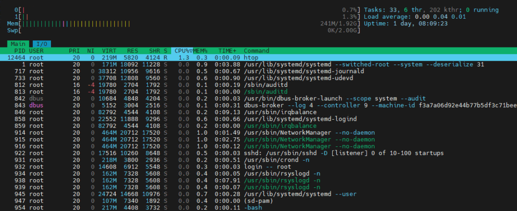 htop screen